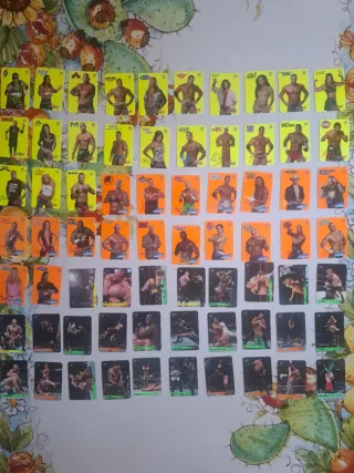 Lotto Card Disney, Wrestling, Garfield, Simpson