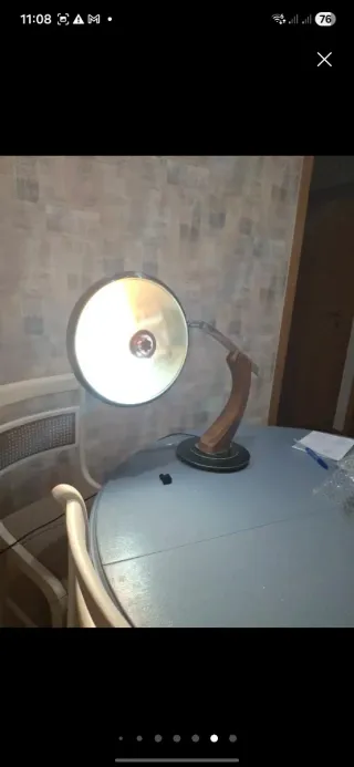 Tulipa Cristal Fase President Original