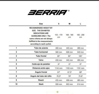 Bicicleta Berria Mako 29’