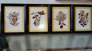 Set 4 Cuadros Flores Secas Marco Madera