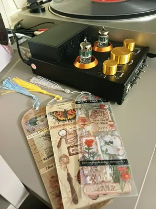 Segnalibro acrilico decorato