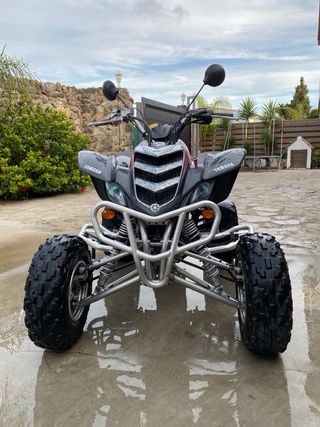 Yamaha raptor
