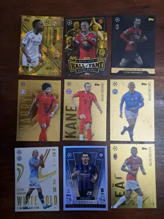 Colección Cromos Fútbol Panini Adrenalyn XL