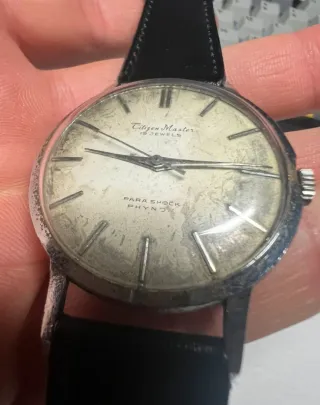 Reloj Citizen Citizen Master