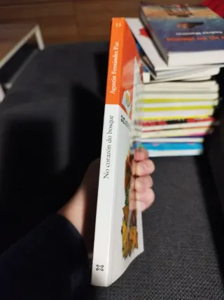 No corazón do bosque (Infantil E Xuvenil) (Gali...