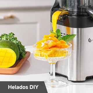 Licuadoras y exprimidores eléctricos