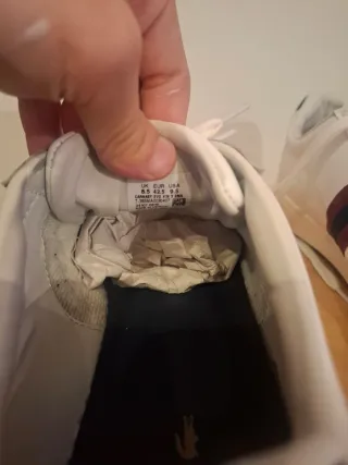 Zapatillas Lacoste carnavy evo Blancas