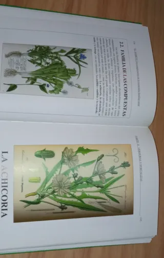 El huerto complemento de la economía familiar r...