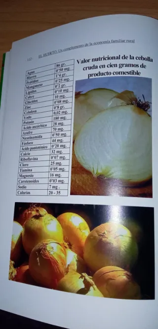 El huerto complemento de la economía familiar r...