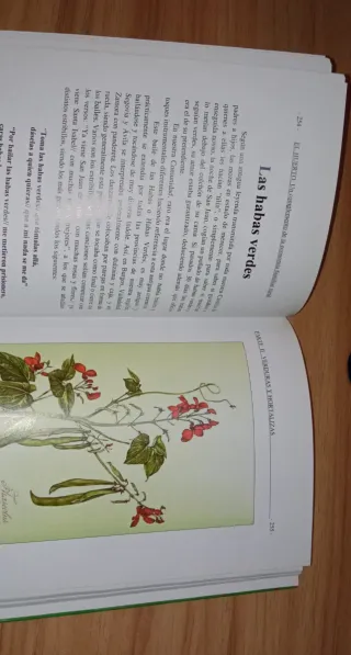 El huerto complemento de la economía familiar r...