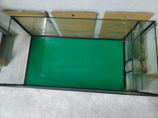 Tartarugueira Grande Vidro