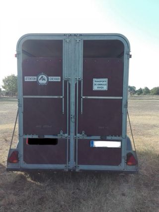 Remolque caballos Vans Fautras