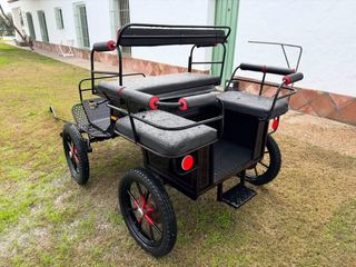 EN VENTA marathon alemán de poni,