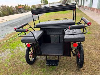 EN VENTA marathon alemán de poni,