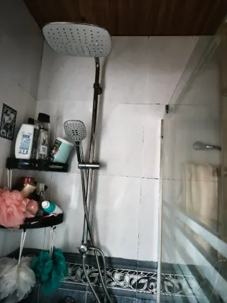 Columna de ducha plateada y blanca Y espejo de bañ