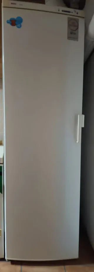 Frigorífico Bosch 1,95 x 0,60