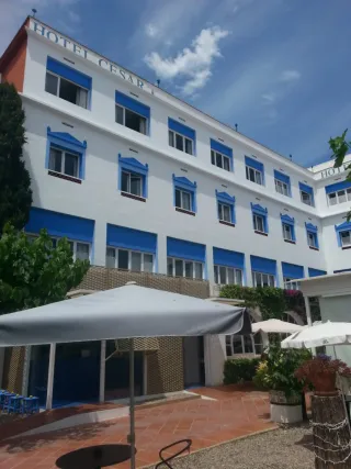 PINTOR PROFESIONAL ECONÓMICO