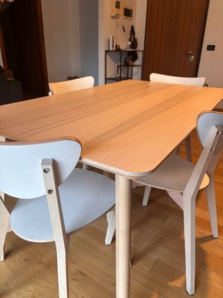 Tavolo da pranzo in legno e plastica