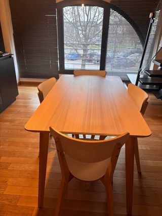 Tavolo da pranzo in legno e plastica