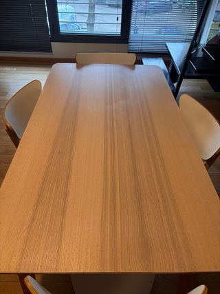 Tavolo da pranzo in legno e plastica