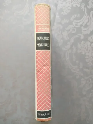 Vagabundos provisionales