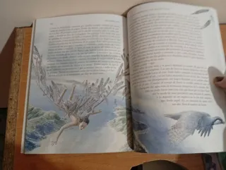 Metamorfosis (clasicos Adaptados)