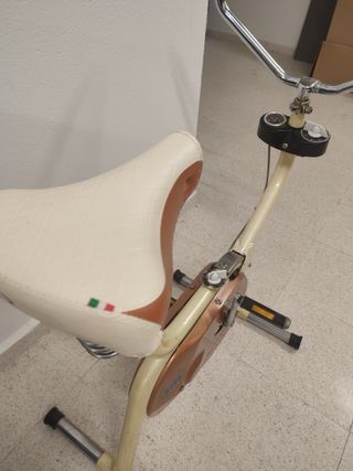 Bici Estática Vintage BH