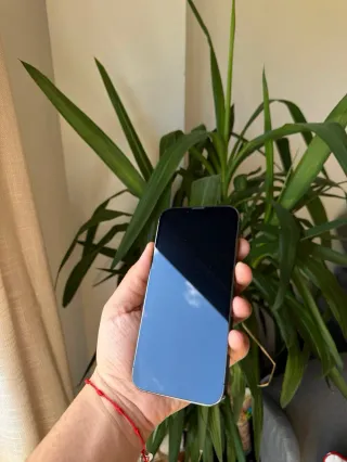 iPhone 13 Pro 256GB Gris