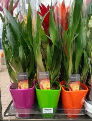 Set 4 Vasi Ceramica Colorati ø12cm