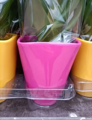 Set 4 Vasi Ceramica Colorati ø12cm