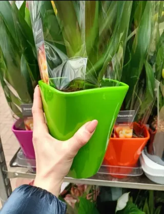 Set 4 Vasi Ceramica Colorati ø12cm