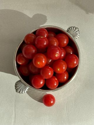 Cuenco Felix Frères Toulouse