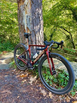 Megamo Silk Gravel Bike