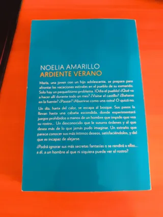 Ardiente verano de Noelia Amarillo