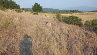 Terreno en venta en Bembibre