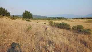 Terreno en venta en Bembibre