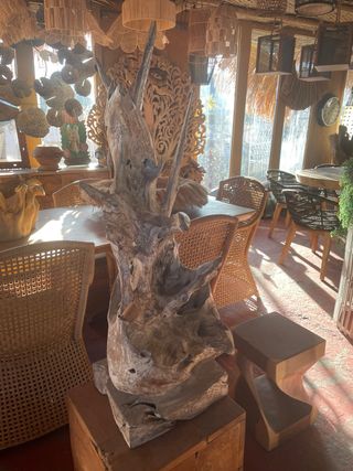 Escultura Raíz Teca Natural