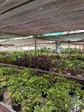 Nave industrial en alquiler en Reyes Católicos en Alcalá de Henares