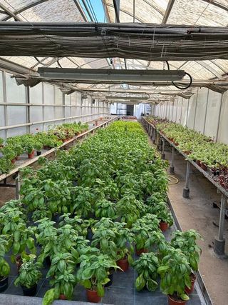 Nave industrial en alquiler en Reyes Católicos en Alcalá de Henares