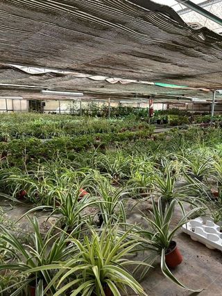 Nave industrial en alquiler en Reyes Católicos en Alcalá de Henares