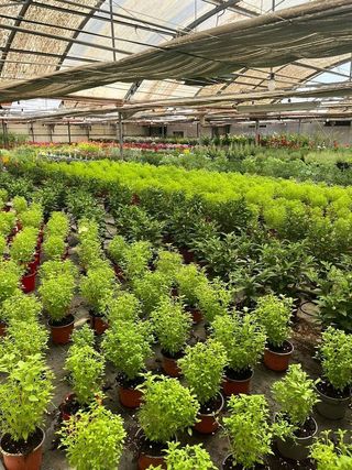 Nave industrial en alquiler en Reyes Católicos en Alcalá de Henares