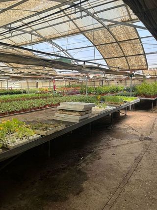 Nave industrial en alquiler en Reyes Católicos en Alcalá de Henares