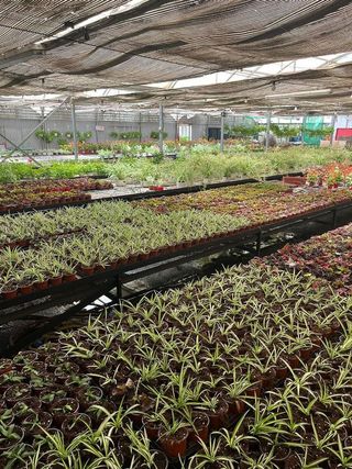 Nave industrial en alquiler en Reyes Católicos en Alcalá de Henares