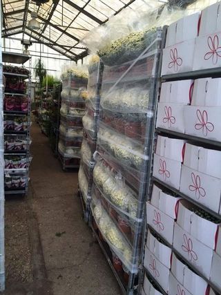 Nave industrial en alquiler en Reyes Católicos en Alcalá de Henares