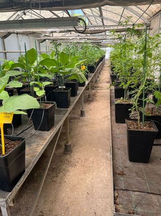 Nave industrial en alquiler en Reyes Católicos en Alcalá de Henares