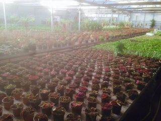 Nave industrial en alquiler en Reyes Católicos en Alcalá de Henares