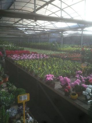 Nave industrial en alquiler en Reyes Católicos en Alcalá de Henares