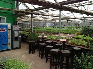 Nave industrial en alquiler en Reyes Católicos en Alcalá de Henares