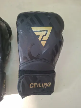 Par Guantes Boxeo PU 16 oz