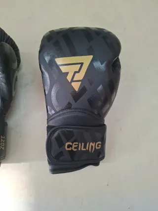Guantes de Boxeo PU 12 oz